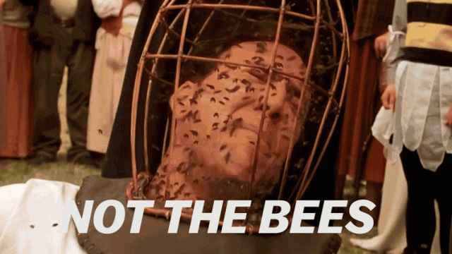 not the bees!